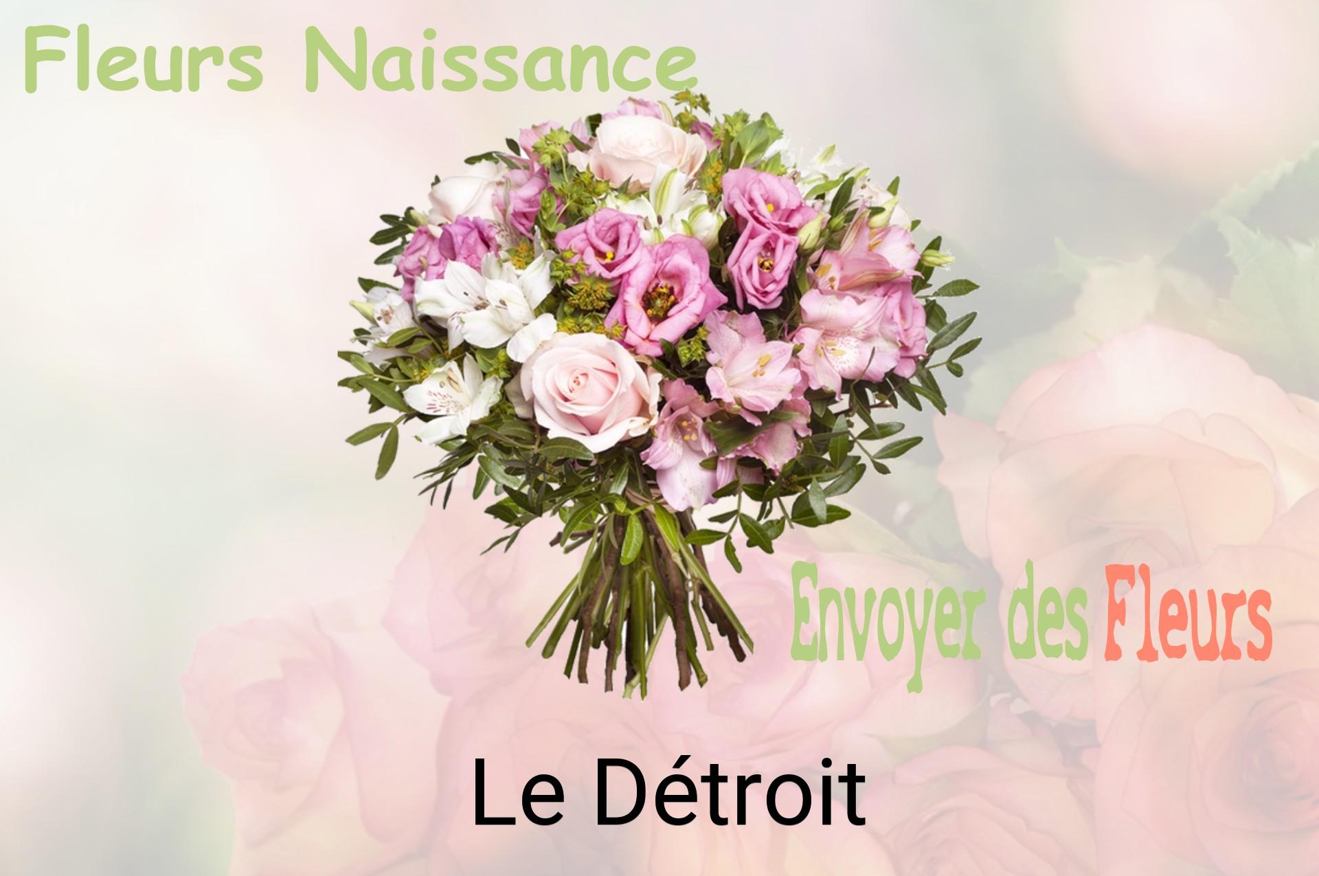 Bouquet de fleurs de naissance livré à Le Détroit