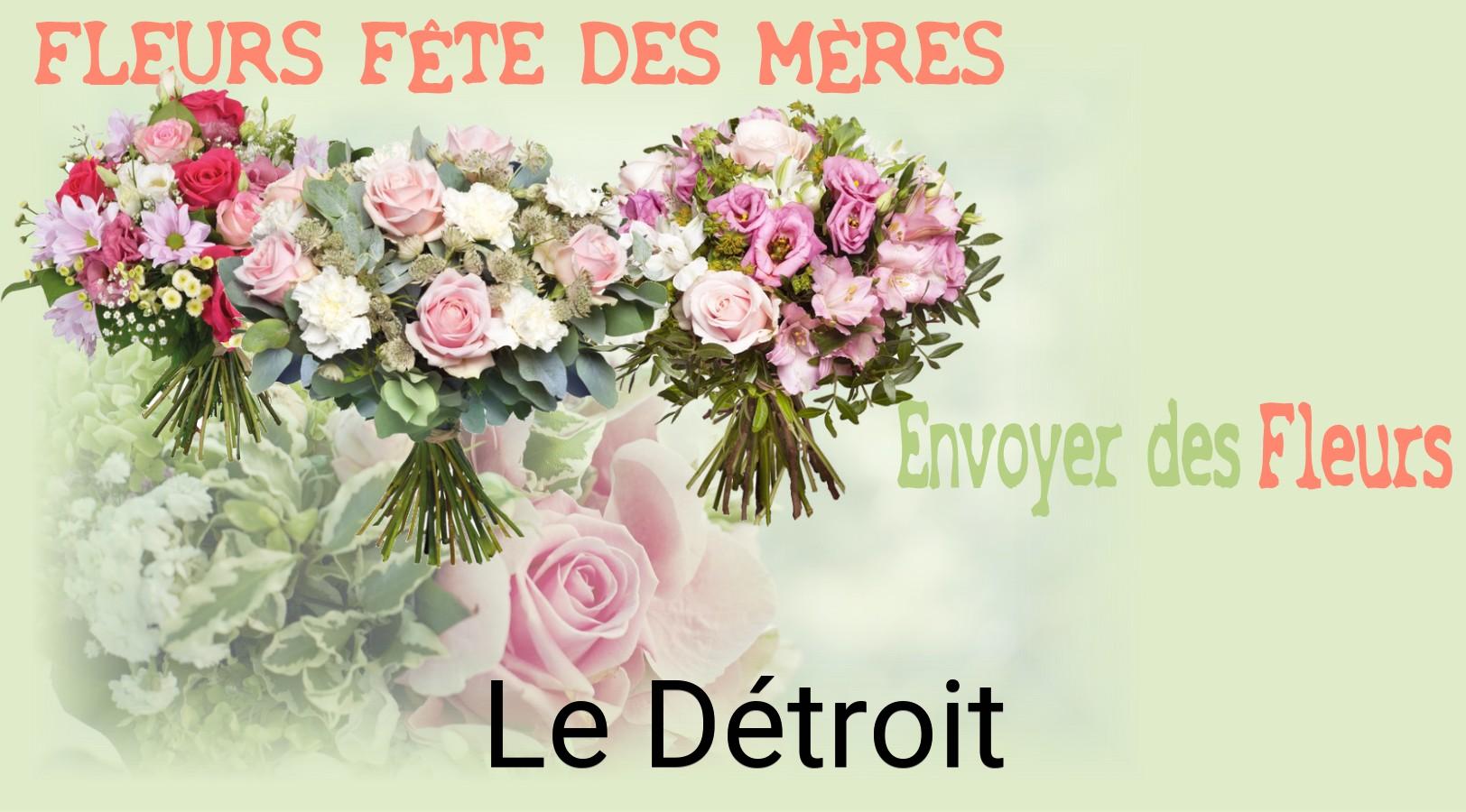 Bouquet de Fête des Mères livré à Le Détroit
